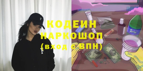 твердый Гусев