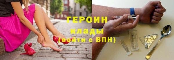 твердый Гусев
