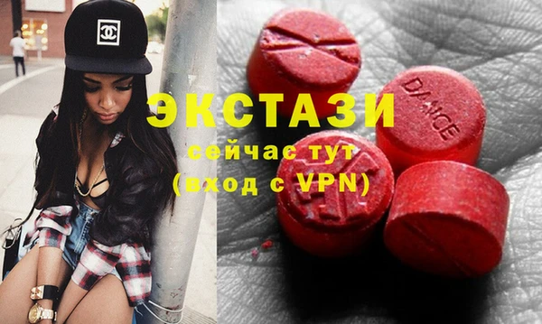 твердый Гусев