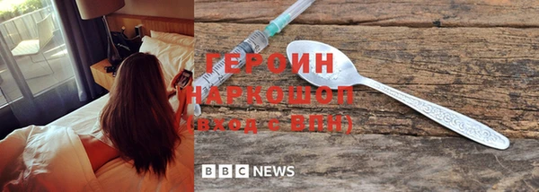 твердый Гусев