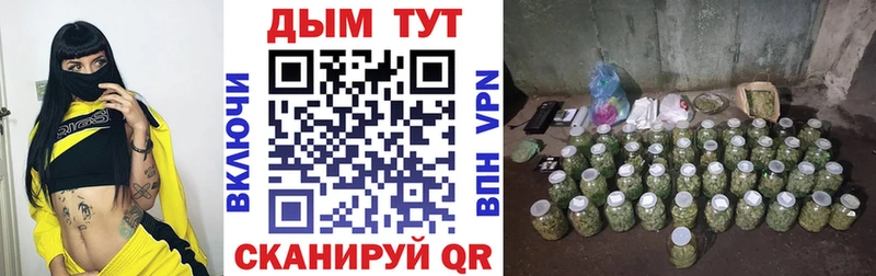 наркошоп  кракен ссылки  Канабис OG Kush  Элиста 